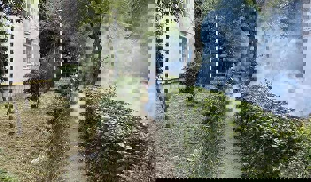 La Ploiești încep intervențiile pentru combaterea țânțarilor și a căpușelor