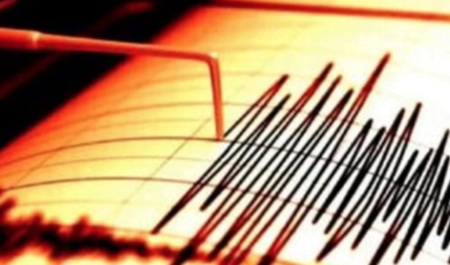 Cutremur de 4 grade și intensitate II, miercuri dimineață, în zona Vrancea