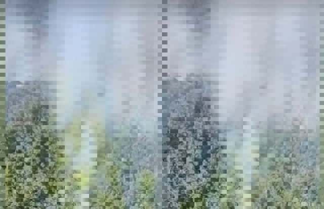 Incendiu de amploare pe dealurile din Caraș-Severin. Pompierii luptă să salveze casele din apropiere