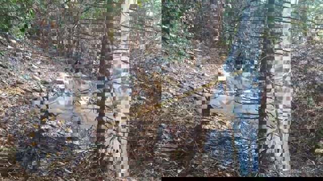 O dronă de origine necunoscută, cu parașută atașată, a fost găsită într-o pădure din Argeș. MApN și SRI fac cercetări