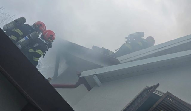 VIDEO 🎦 Incendiu, azi-noapte, în Valea Voievozilor, din cauza unui cablu electric defect