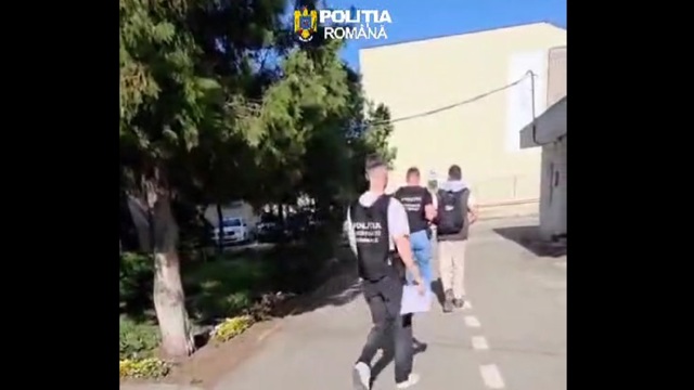Poza articol