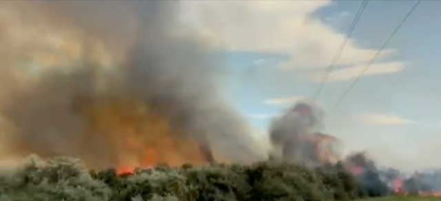 VIDEO 🎦 Incendiu de vegetație uscată. Au fost afectați 5.000 de metri pătrați de teren
