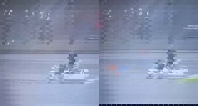 Un bărbat și-a riscat viața pentru a-și salva câinele, căzut într-un lac din București