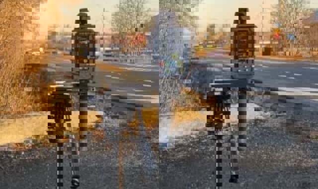 Urmărire ca în filme. O șoferiță care gonea cu 200 km/h nu a oprit la semnalele polițiștilor și a ajuns cu mașina într-un șanț