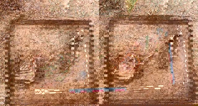 Descoperire arheologică unică în Neamț. Un cal de războinic înmormântat cu onoruri relevă prezența unei populații de care nu știam nimic