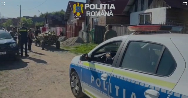Poza articol