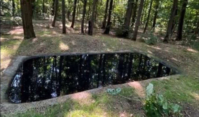 Bazine betonate în pădure, umplute cu apă pentru animalele sălbatice