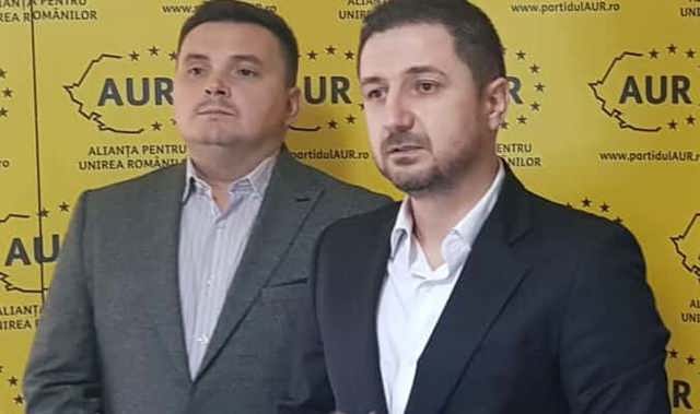 Poza articol