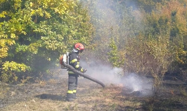Mesaj RO-ALERT aproape de limita dintre Dâmbovița și Prahova, din cauza unui incendiu de vegetație