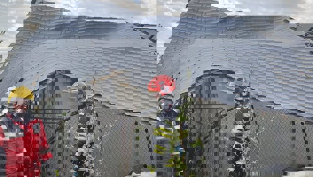 Alerte de vânt puternic în toată țara. O persoană a murit zdrobită de un acoperiș smuls de rafale și alte două au fost rănite de crengi rupte