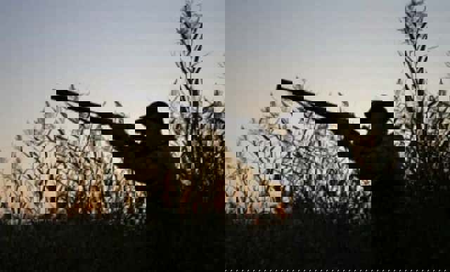 Teleorman: 13 persoane reţinute pentru braconaj