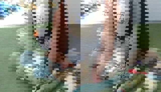 Controale la Grădina Zoologică din Zaharești, Suceava, după ce doi copii au fost mușcați de animale