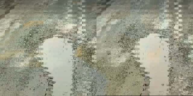 O femeie din Arad a obligat Primăria, în instanță, să îi asfalteze strada, să îi facă trotuare și să-i plătească daune morale