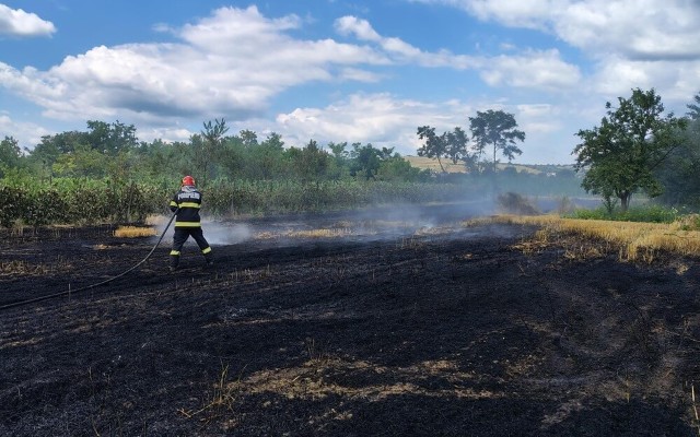 Incendii de vegetație, marți, la Pleașa și Dumbrava