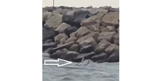 UPDATE. VIDEO 🎦 Dronă observată în mare, la Costinești. Aparatul, filmat de oamenii de pe plajă