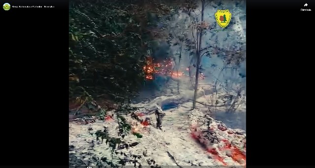 VIDEO 🎦 O dronă ar fi provocat incendiul izbucnit miercuri după-amiază în pădurea de lângă localitatea Plauru