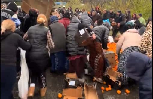 Bătaie pe portocale după ce un TIR s-a răsturnat. Oamenii s-au călcat în picioare să adune fructele de pe jos
