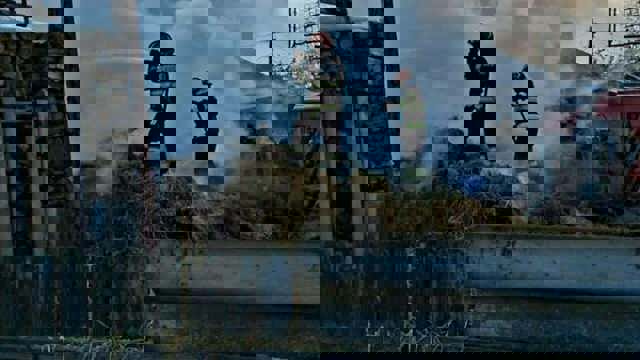 Joaca unor copii a provocat un dezastru într-o localitate din Giurgiu