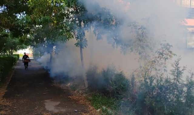 Luni încep intervențiile pentru dezinsecție, la Ploiești. Acțiunile vizează combaterea țânțarilor și a căpușelor