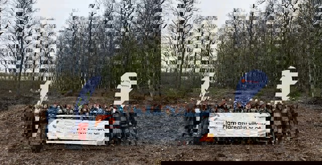 Voluntarii Rompetrol au plantat 5000 de puieți de paltin și stejar