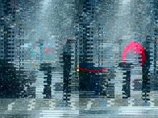 Cod galben de vânt și ninsori. Ploi și rafale puternice de vânt în unele regiuni din țară