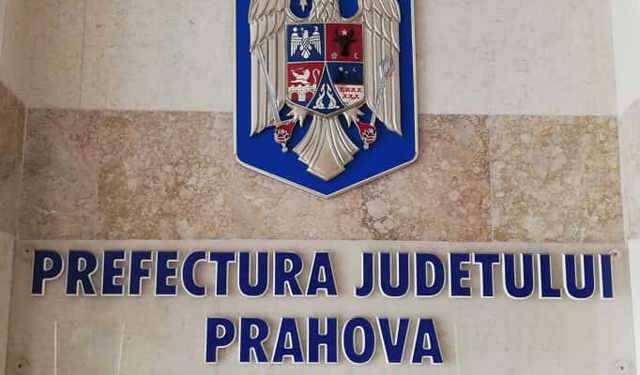 Poza articol