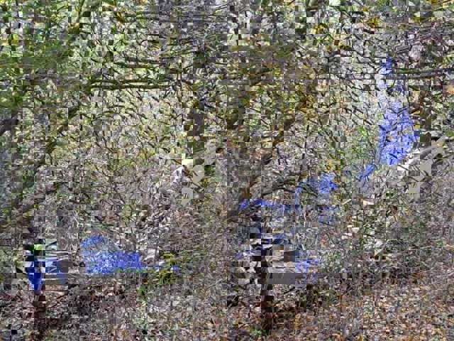 Accident aviatic. Vezi cine era pilotul avionului prăbușit în Vaslui