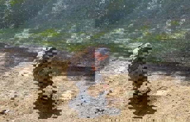 Templu necunoscut până acum, descoperit în cetatea dacică de la Costești-Cetățuie