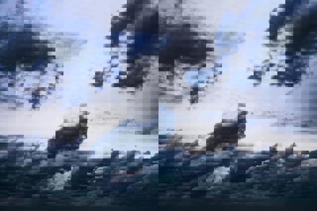 Vremea în a doua zi de Paște. Cod galben de vânt într-un județ