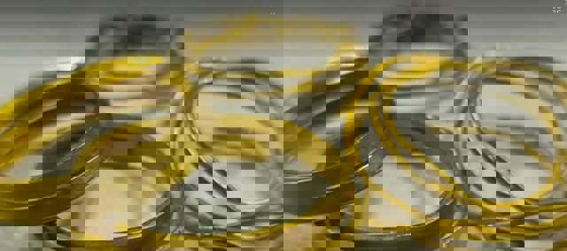 Patru brățări tracice, vechi de peste 4.000 de ani, descoperite de un căutător de comori din Gorj