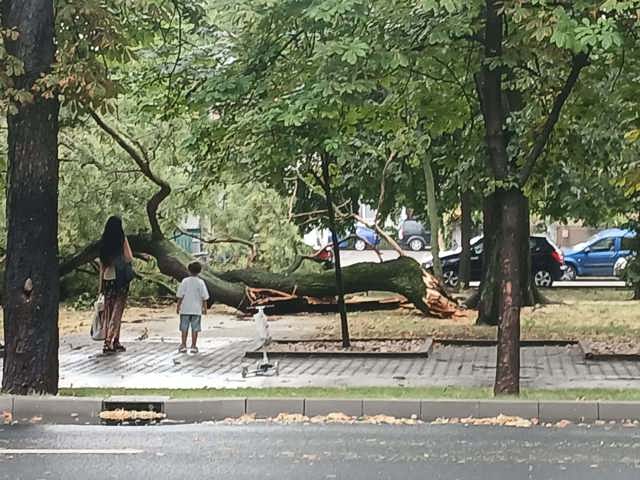 Alertă la Ploiești! Municipiul intră sub cod portocaliu de vijelii. Mihai Polițeanu: „Rog ploieștenii să limiteze deplasările în oraș”