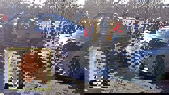 Daniel Chițoiu, fost vicepremier și ministru de Finanțe, condamnat la închisoare după ce a ucis doi oameni într-un accident