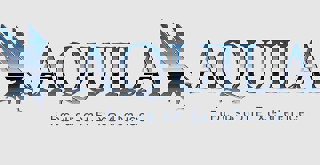 AQUILA digitalizează și standardizează procesele de HR pentru peste 3.500 de angajați, cu platforma SincronHR