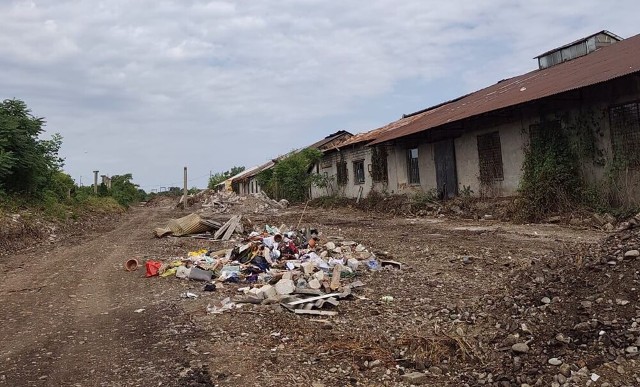 Deșeuri abandonate de un angajat de la salubritate, pe terenul curățat pentru construirea Străpungerii Libertății