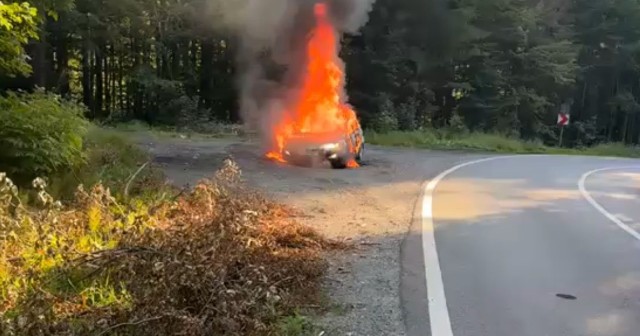 Persoană carbonizată într-un autoturism care a luat foc pe DN 1A