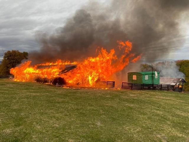 Incendiu într-o gospodărie din Comarnic, joi dimineață. Animalele de saivanul cuprins de flăcări au fost salvate în ultima clipă