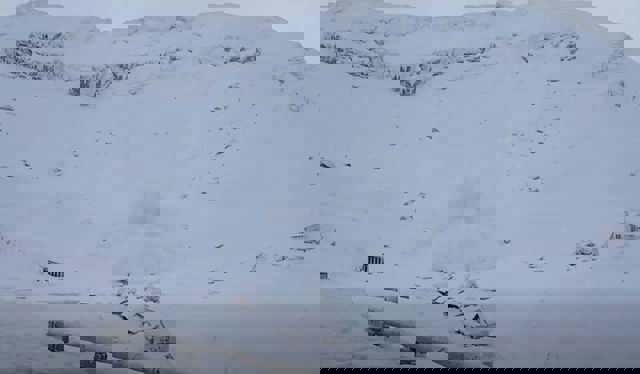 VIDEO 🎦 Avalanșă de mari dimensiuni, vineri, în zona Bâlea Lac