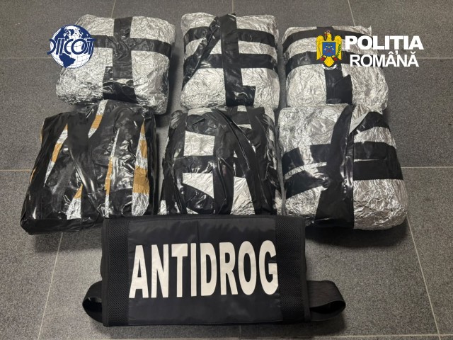 FOTO 📸 - VIDEO 🎦 Flagrant delict în municipiul Brașov. Un tânăr a fost prins transportând 6 kilograme de canabis