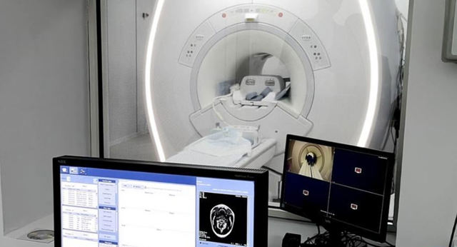 Investigații RMN și CT gratuite, pe baza biletului de trimitere, la SJU Ploiești