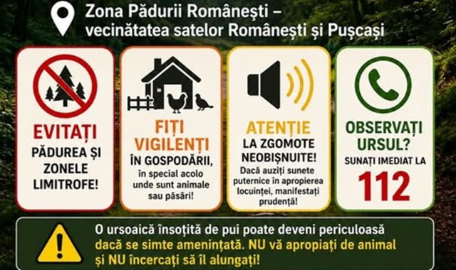 Alertă la Bărcănești și Puchenii Mari, din cauza unei ursoaice cu pui. Familia de urși a fost văzută în zona pădurii Românești
