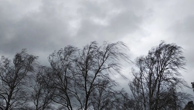 ANM: Cod galben de vânt și ninsori, vineri, în mai multe regiuni