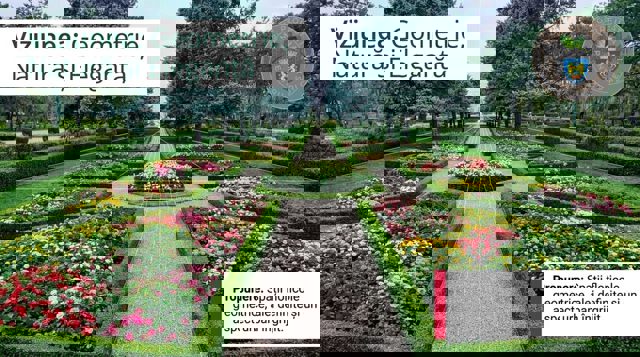 Consultare publică. SGU Ploiești propune un proiect de reamenajare a spațiului verde de la Sala Sporturilor