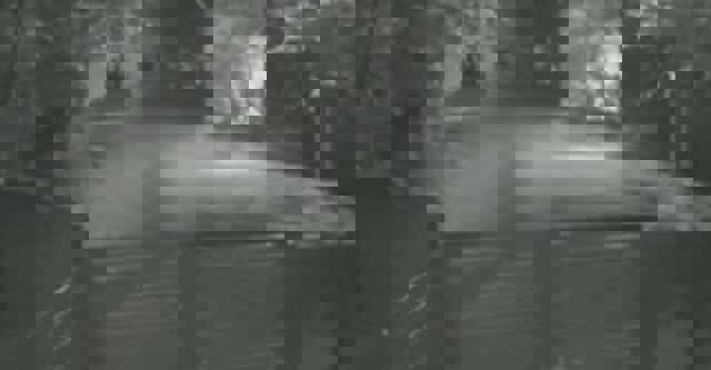 Ce se va întâmpla cu cei trei copii ai femeii ucise de fostul soț. Tatăl bărbatului a fost reținut și el