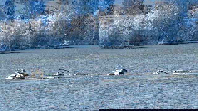 O barjă cu peste 1.100 de tone de îngrășământ chimic s-a scufundat în Dunăre, lângă Zimnicea