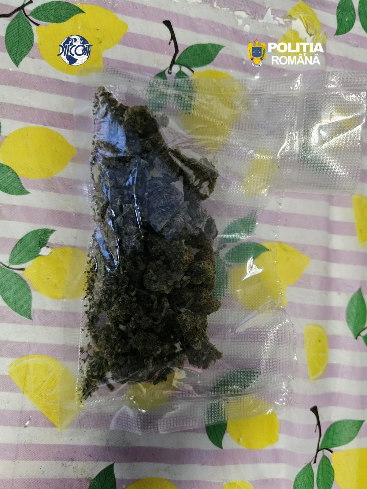 Brașov cocaina (4).jpeg