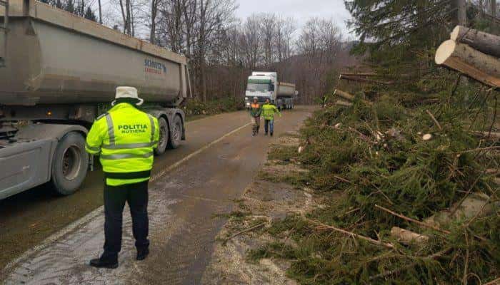 VIDEO | Două drumuri naţionale au fost &quot;acoperite&quot; de zeci de copaci doborâţi de vijelie, în Prahova. Circulaţia pe DN1A şi DN71 s-a reluat abia acum