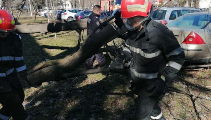 UPDATE | Aproape 3.000 de prahoveni lăsaţi fără curent din cauza vântului care a doborât stâlpi electrici sau copaci