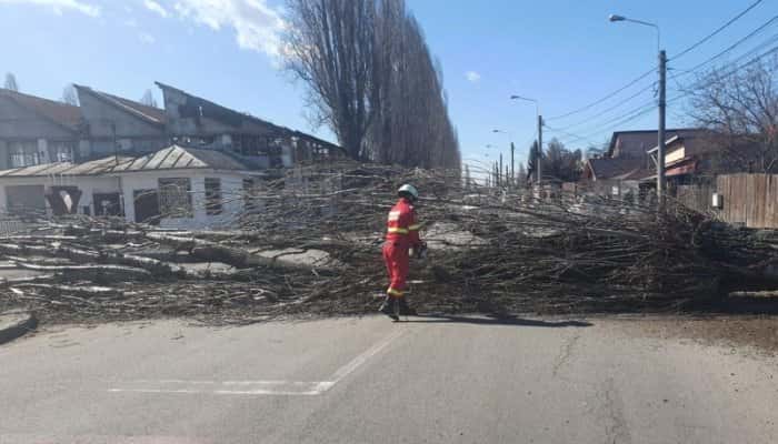 FOTO | Trafic BLOCAT în Prahova din cauza vântului care a doborât copaci şi stâlpi. Probleme inclusiv pe DN1B