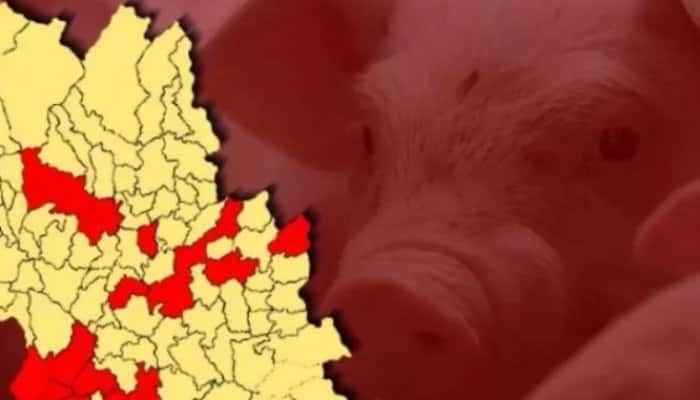21 de noi cazuri de pestă porcină africană confirmate în Prahova. Care sunt localitățile afectate